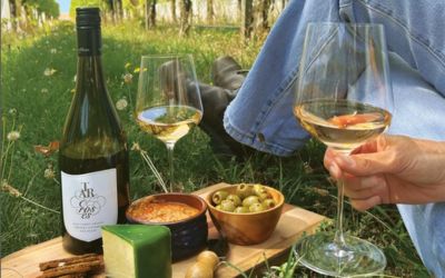 Sip, savour, soar – a curated wine evening at Windows Restaurant!