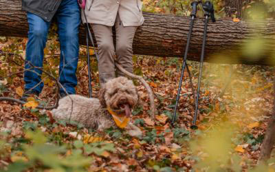 Exclusive invitation: Annual day out at the Truffle Farm