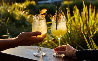 Spice Nights at Park & Cove