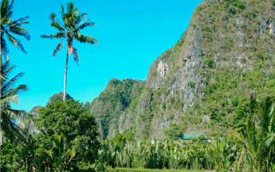 Ramang – Ramang Wonder Package